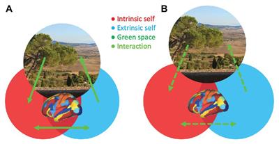 The Self and Its Nature: A Psychopathological Perspective on the Risk-Reducing Effects of Environmental Green Space for Psychosis